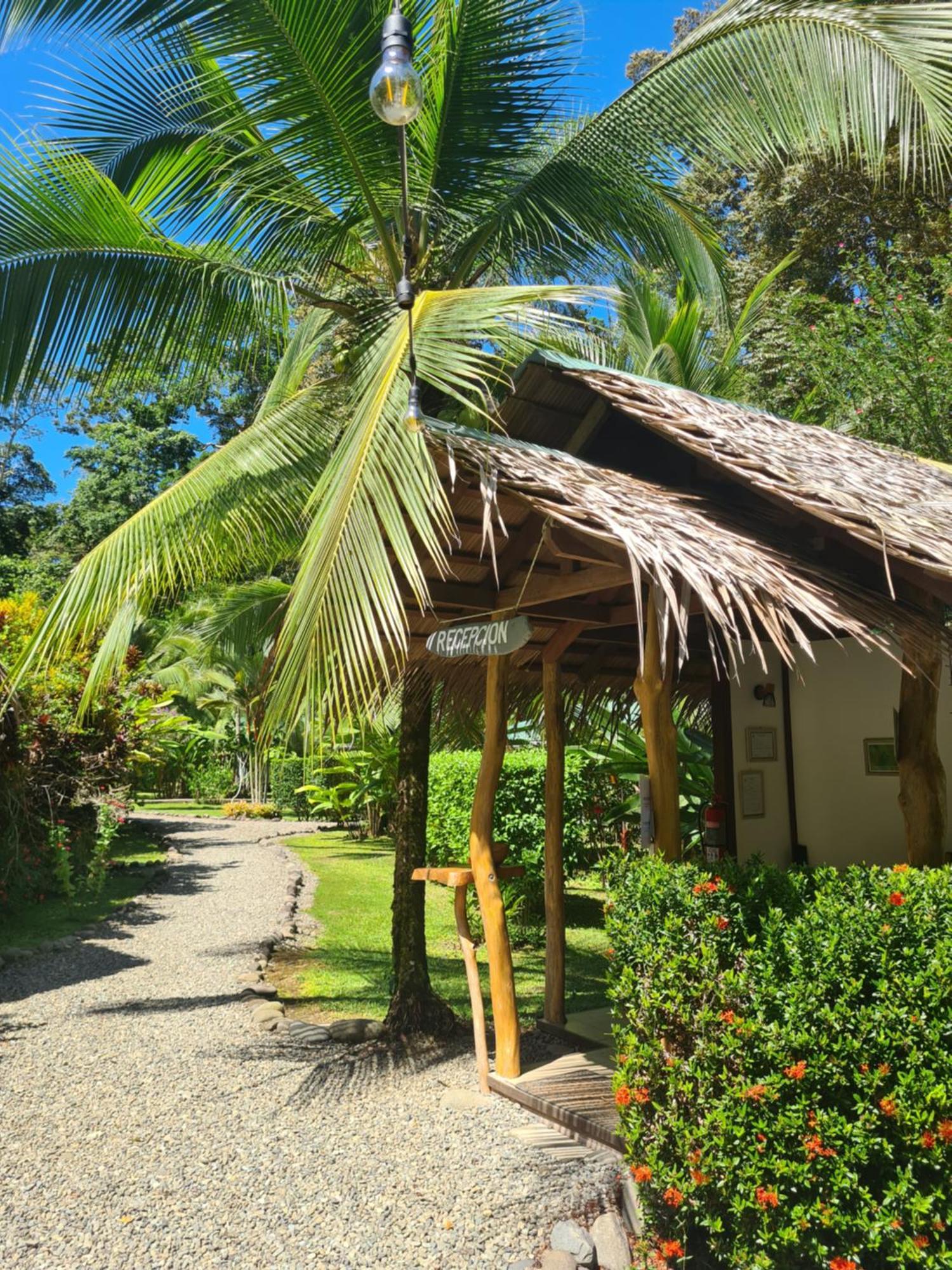 La Rana De Cahuita Villa Exterior photo
