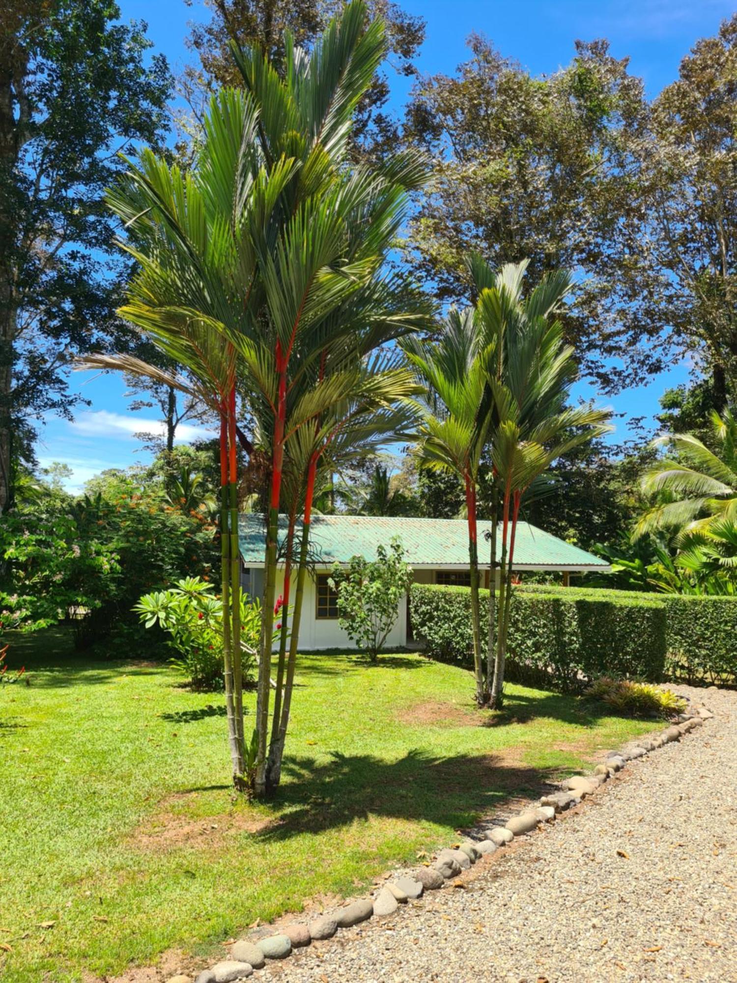 La Rana De Cahuita Villa Exterior photo