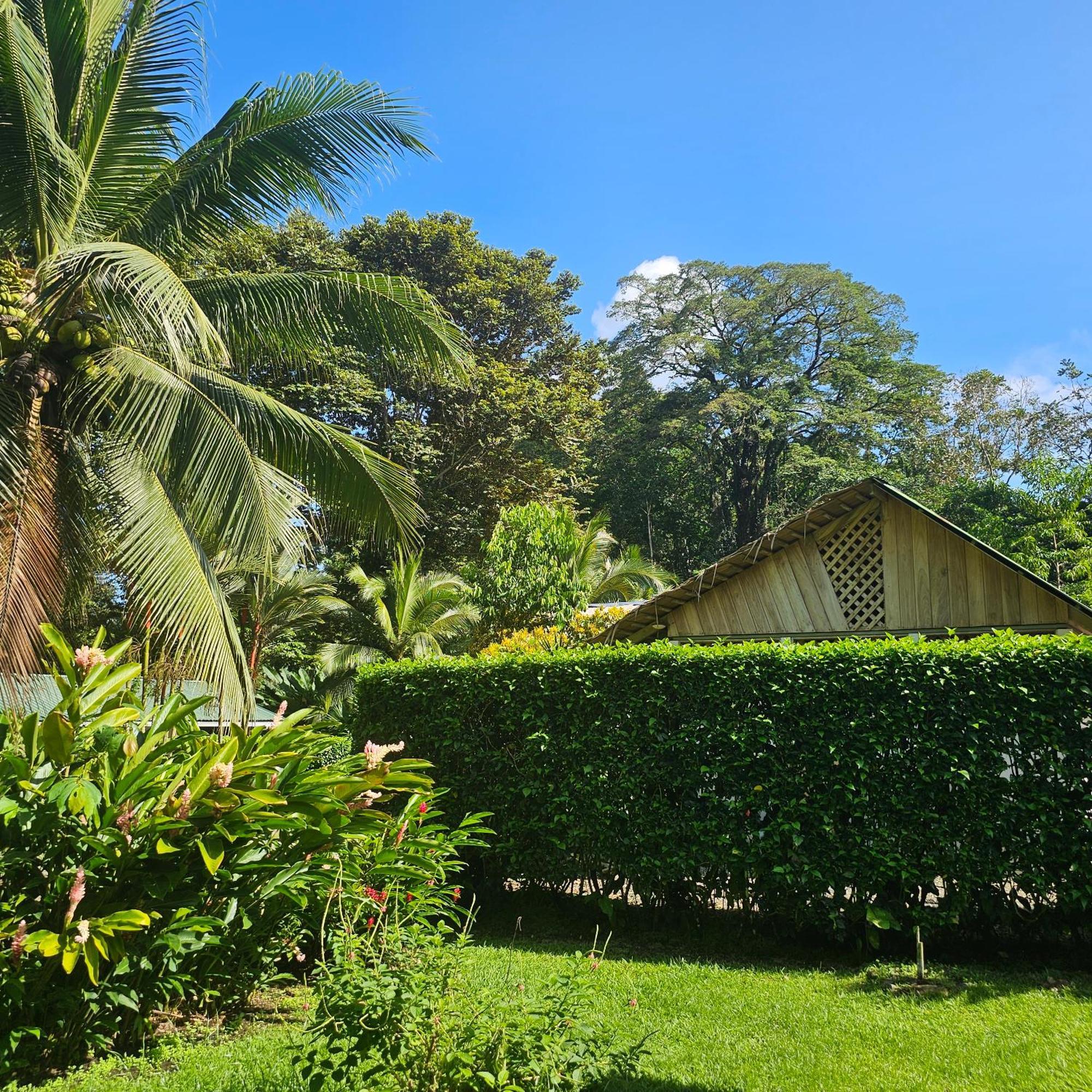La Rana De Cahuita Villa Exterior photo